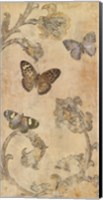 Papillion Decoratif II Fine Art Print