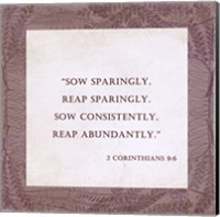 Sow Sparingly 2 Corinthians 9:6 Fine Art Print