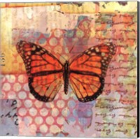 Homespun Butterfly IV Fine Art Print