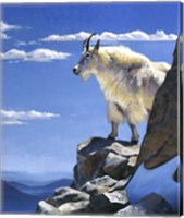 Rocky Mountain High Fine Art Print