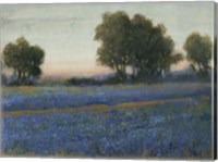 Blue Bonnet Field II Fine Art Print
