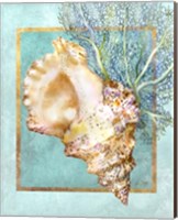 Conch Shell and Coral Fine Art Print