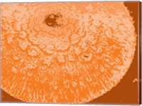 Orange Abstract Fine Art Print