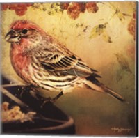 Frequent Visitor Fine Art Print