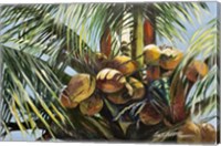 Los Cocos Fine Art Print