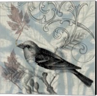 Autumn Songbird II Fine Art Print