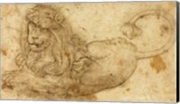 Study of a Lion Fine Art Print