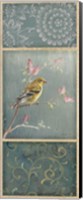 Female Goldfinch Fine Art Print