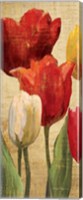 Tulip Fantasy on Cream II Fine Art Print
