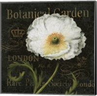 Botanical Garden II Fine Art Print