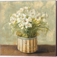 Hatbox Freesia Fine Art Print