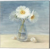 Daisies and Shells Fine Art Print