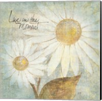 Daisy Do III - Live in the Moment Fine Art Print