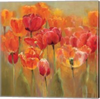 Tulips in the Midst III Crop Fine Art Print