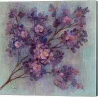 Twilight Cherry Blossoms I Fine Art Print