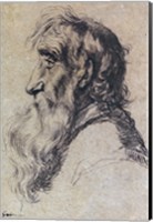 Head of an Old Man Fine Art Print
