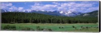 Beaver Meadows Rocky Mountain National Park CO USA Fine Art Print