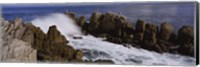 Rock formations in water, Pebble Beach, California, USA Fine Art Print