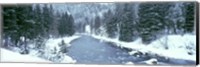 USA, Montana, Gallatin River, winter Fine Art Print