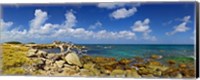 Rocks at the coast, Aruba Fine Art Print