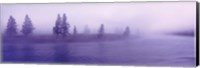 USA, Wyoming, View of trees lining a misty river Fine Art Print