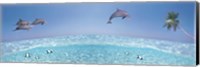 Dolphins Leaping In Air Fine Art Print