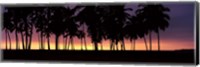 Silhouette of palm trees on the beach, Puuhonua o Honaunau National Historical Park, Big Island, Hawaii, USA Fine Art Print