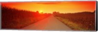Country road at sunset, Milton, Northumberland County, Pennsylvania, USA Fine Art Print