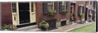 Potted plants outside a house, Acorn Street, Beacon Hill, Boston, Massachusetts, USA Fine Art Print