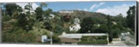 Low angle view of a hill, Hollywood Hills, City of Los Angeles, California, USA Fine Art Print