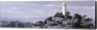 Coit Tower On Telegraph Hill, San Francisco, California, USA Fine Art Print
