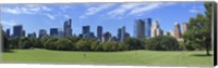 Park with skyscrapers in the background, Sheep Meadow, Central Park, Manhattan, New York City, New York State, USA Fine Art Print