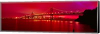 Suspension bridge lit up at night, Bay Bridge, San Francisco, California, USA Fine Art Print