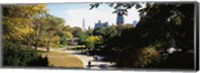 High angle view of a group of people walking in a park, Central Park, Manhattan, New York City, New York State, USA Fine Art Print