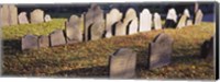 Tombstones in a cemetery, Copp's Hill Burying Ground, Boston, Massachusetts Fine Art Print