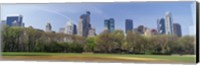 Trees in a park, Central Park South, Central Park, Manhattan, New York City, New York State, USA Fine Art Print