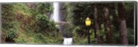 Multnomah Falls, Hood River, Columbia River Gorge, Oregon Fine Art Print