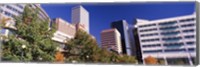 Low angle view of buildings in a city, Sheraton Downtown Denver Hotel, Denver, Colorado, USA Fine Art Print