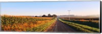 Road Along Rural Cornfield, Illinois, USA Fine Art Print