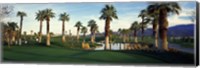 Palm trees in a golf course, Desert Springs Golf Course, Palm Springs, Riverside County, California, USA Fine Art Print
