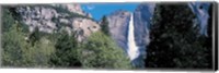 Yosemite Falls Yosemite National Park CA USA Fine Art Print
