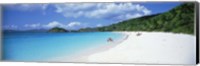 Tourists on the beach, Trunk Bay, St. John, US Virgin Islands Fine Art Print