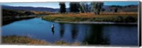 Trout fisherman Slough Creek Yellowstone National Park WY Fine Art Print