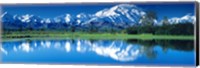 Mt McKinley and Wonder Lake Denali National Park AK Fine Art Print