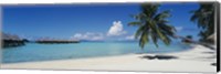 Palm Tree On The Beach, Moana Beach, Bora Bora, Tahiti, French Polynesia Fine Art Print