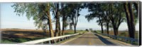 Road passing through a landscape, Illinois Route 64, Carroll County, Illinois, USA Fine Art Print