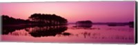 Panoramic View Of The National Forest During Sunset, Chincoteague National Wildlife Refuge, Virginia, USA Fine Art Print