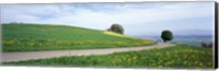 Road Fields Aargau Switzerland Fine Art Print