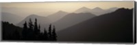 Mount Rainier National Park WA USA Fine Art Print