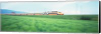 TGV High-speed Train passing through a grassland Fine Art Print